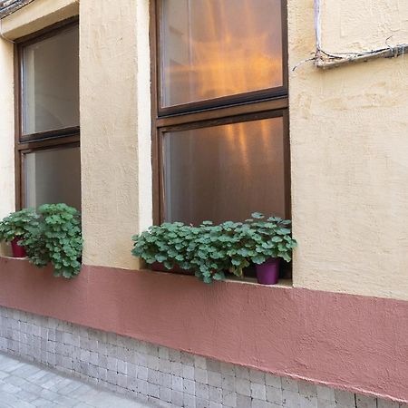 Raphaela Residence Bistriţa エクステリア 写真